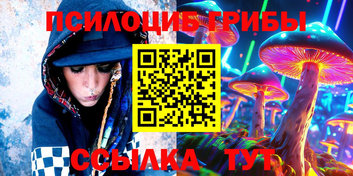 Галлюциногенные грибы Psilocybine cubensis Екатеринбург