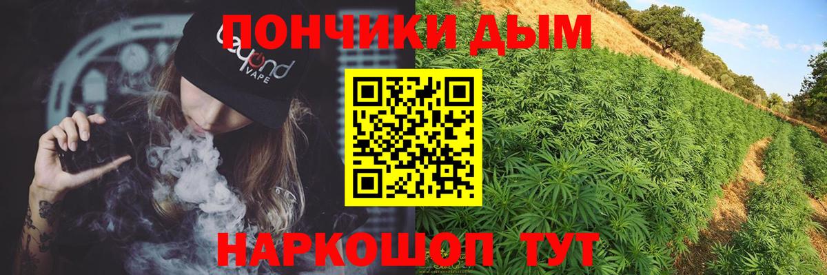 Канабис гибрид  Каннабис планчик  Конопля Bruce Banner  Вход с VPN  Екатеринбург 
